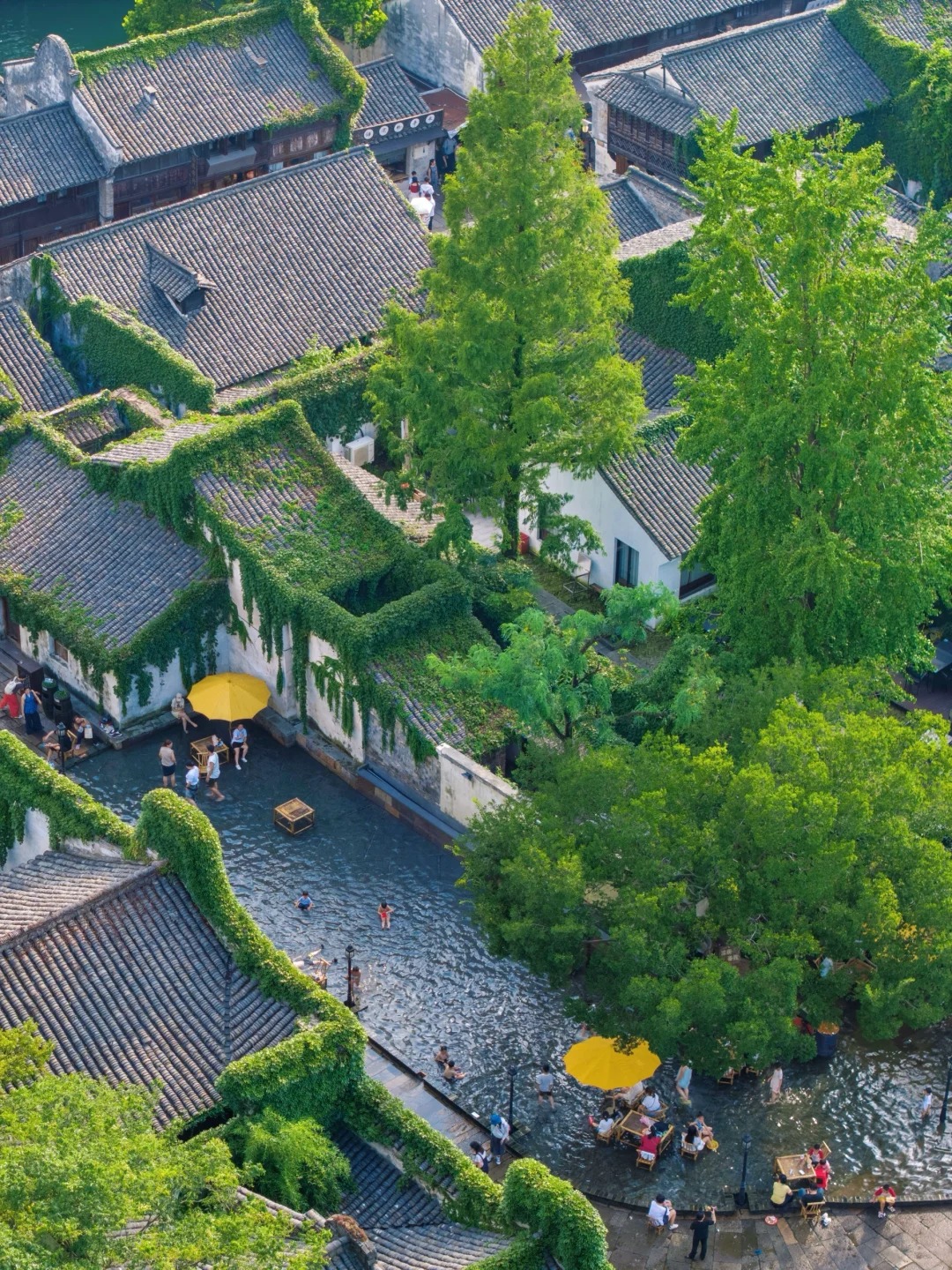 没踩雷🫡第一次来乌镇玩直接复制这个玩法_6_你也是一只猫_来自小红书网页版